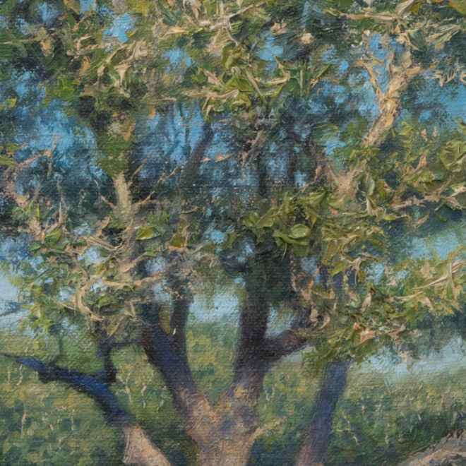 Late-Afternoon-Live-Oaks-Detail-2