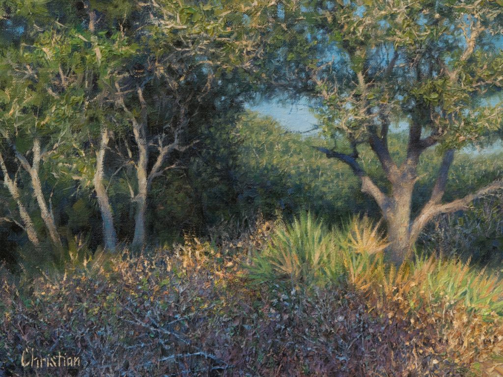 Oil painting entitled Late Afternoon Live Oaks, by artist Christian Hemme.