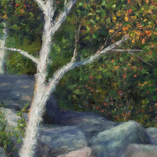 Sunny Birch on Lower Cascade Detail 1