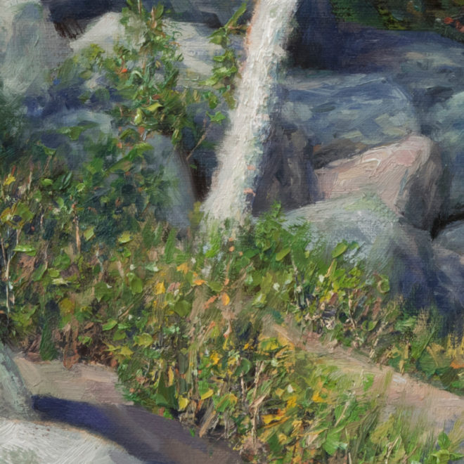 Sunny Birch on Lower Cascade Detail 2