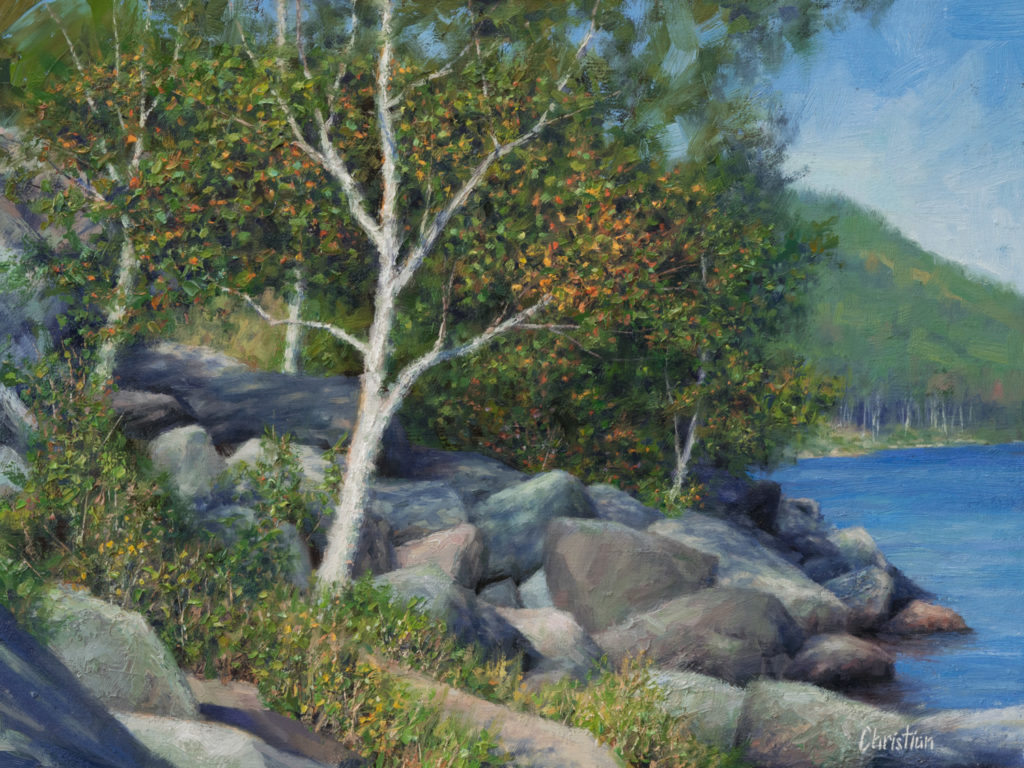 Oil painting entitled Sunny Birch on Lower Cascade, by artist Christian Hemme.