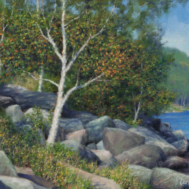Oil painting entitled Sunny Birch on Lower Cascade, by artist Christian Hemme.