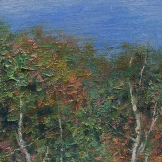 Adirondack Autumnal Detail 2